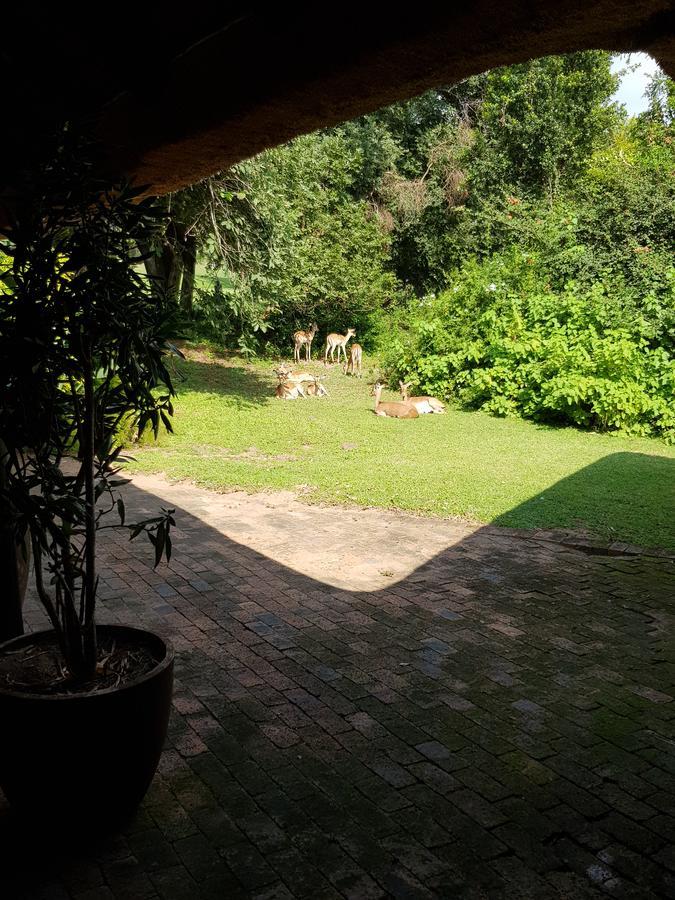 Kruger Park Lodge Unit No. 277 Hazyview Ngoại thất bức ảnh